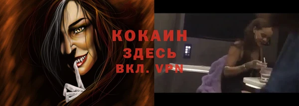не бодяженный Бородино