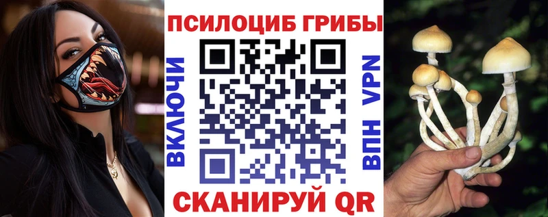Купить где  Глазов  Псилоцибиновые грибы Psilocybine cubensis 